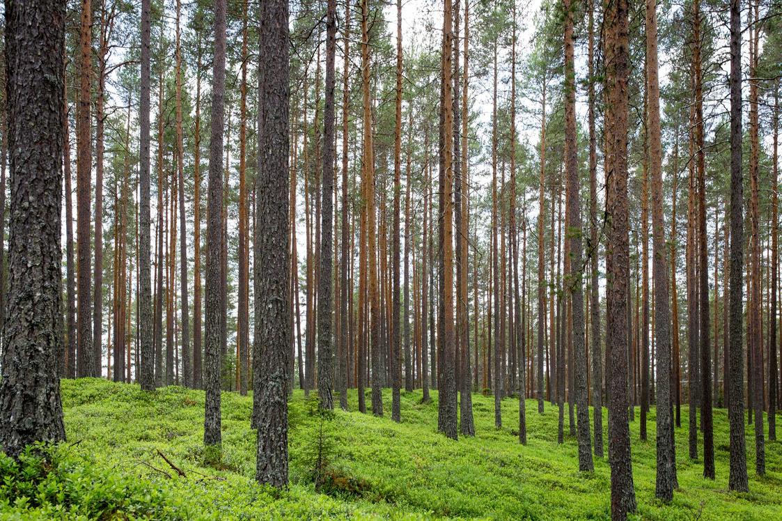 Quis eos quia